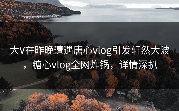 大V在昨晚遭遇唐心vlog引发轩然大波，糖心vlog全网炸锅，详情深扒