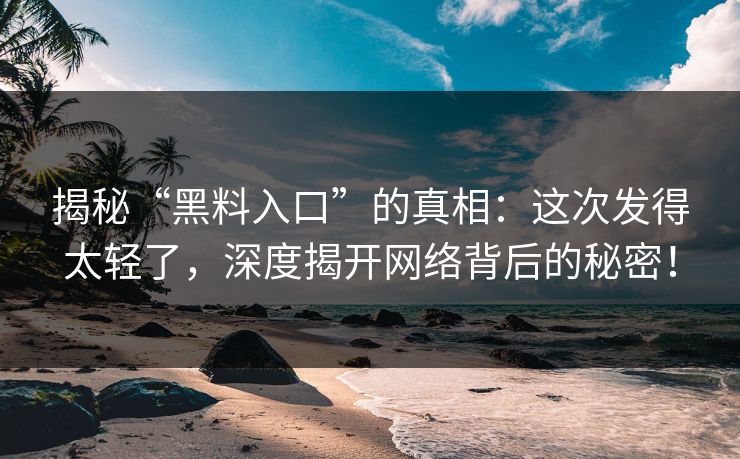 揭秘“黑料入口”的真相：这次发得太轻了，深度揭开网络背后的秘密！